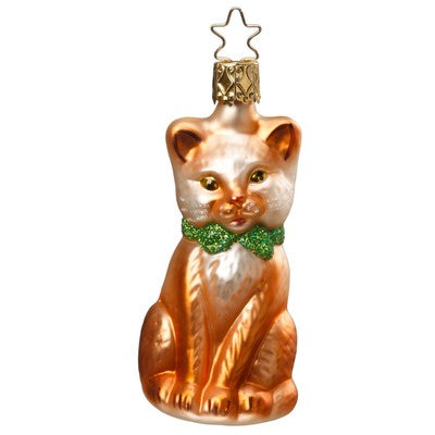 Purr-fect brun kat