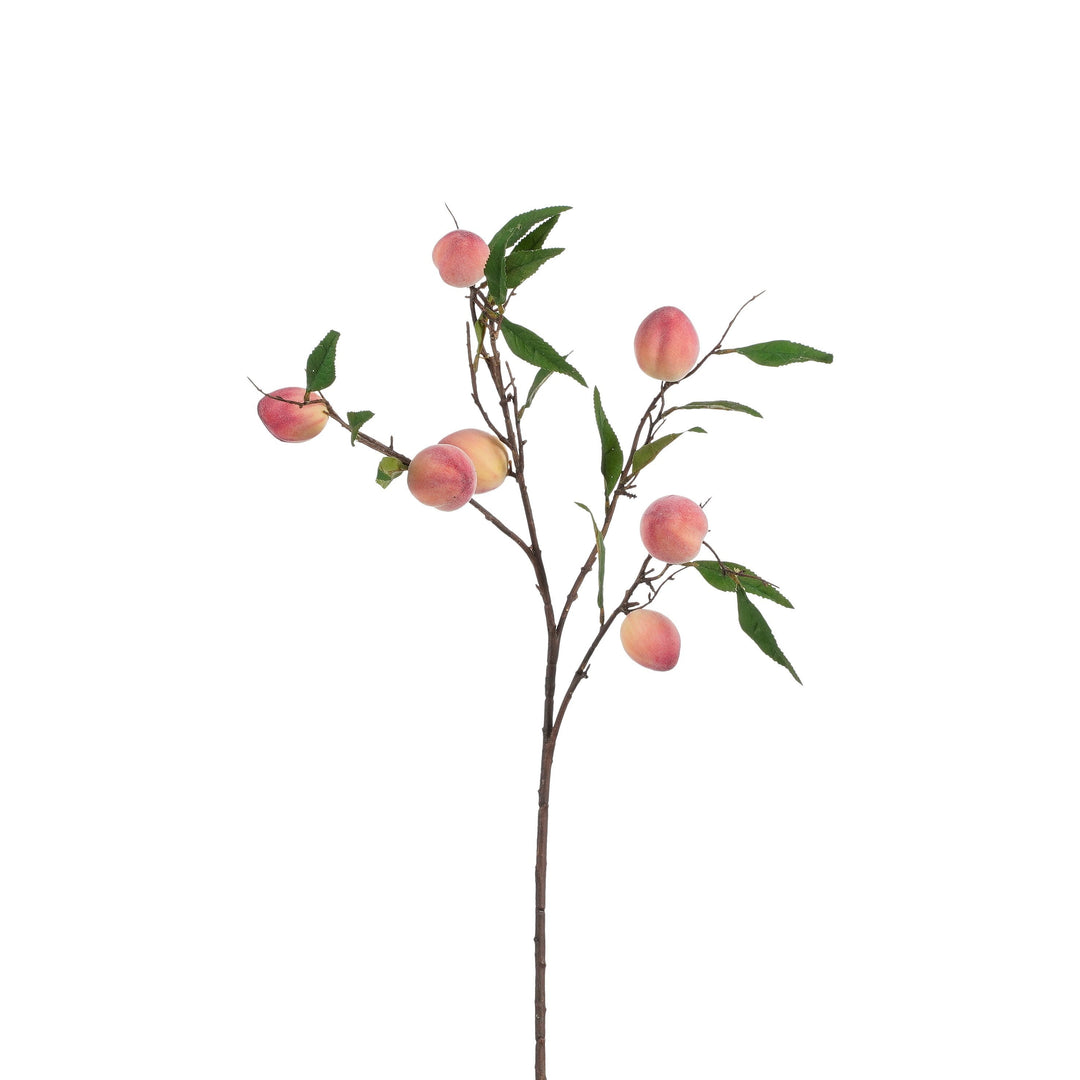 Prunus gren