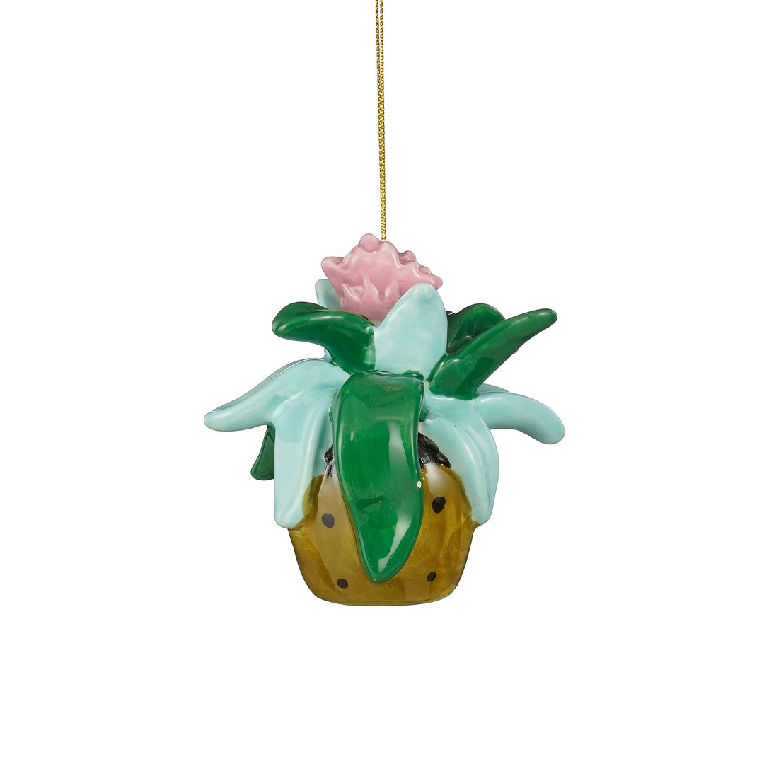 Ornament plante