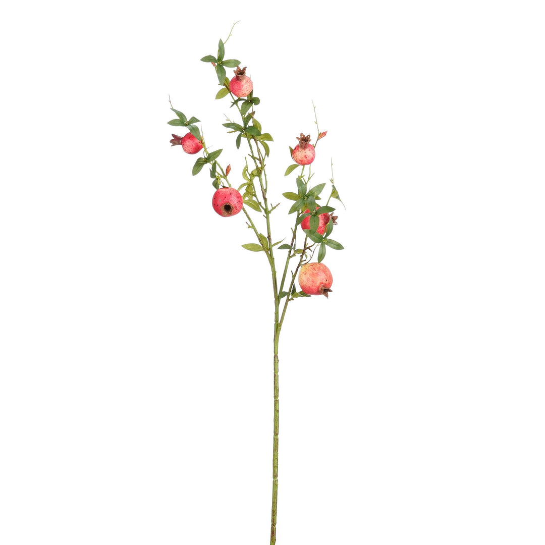 Granatæble gren rosa