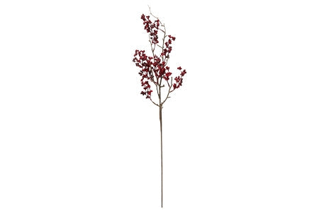 Bærgren