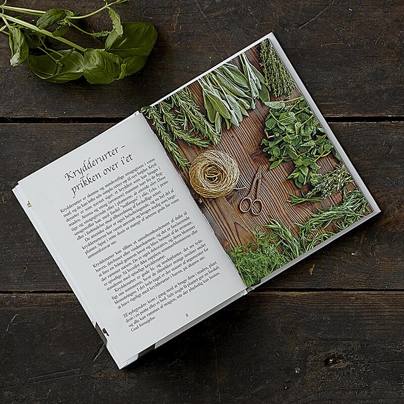 Garden herbs