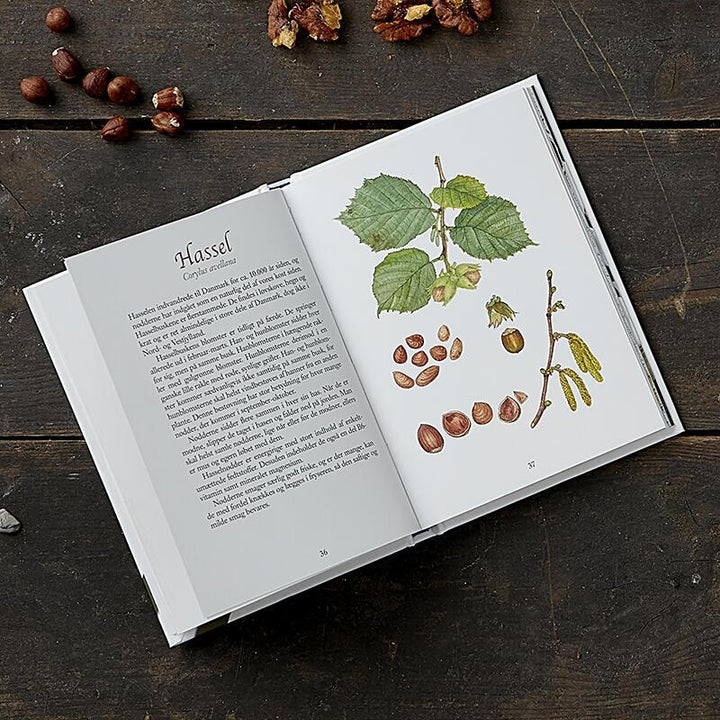 Edible Wild Fruits 2nd Edition