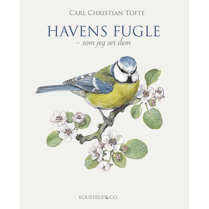 Havens fugle