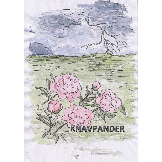 KNAVPANDER