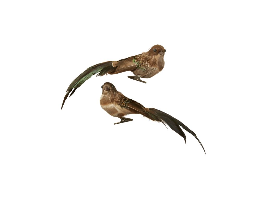 Vogel mit Clip – H20cm, Feder