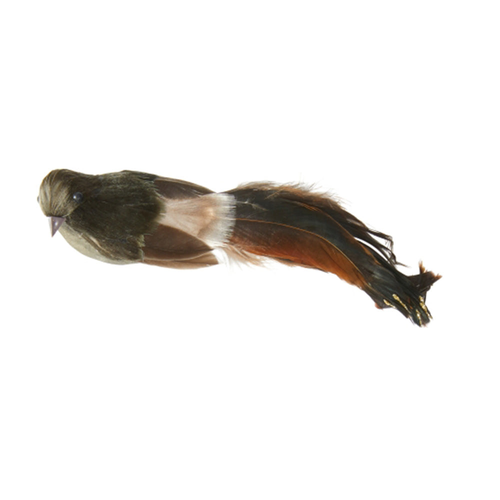 Bird with clip | H17cm