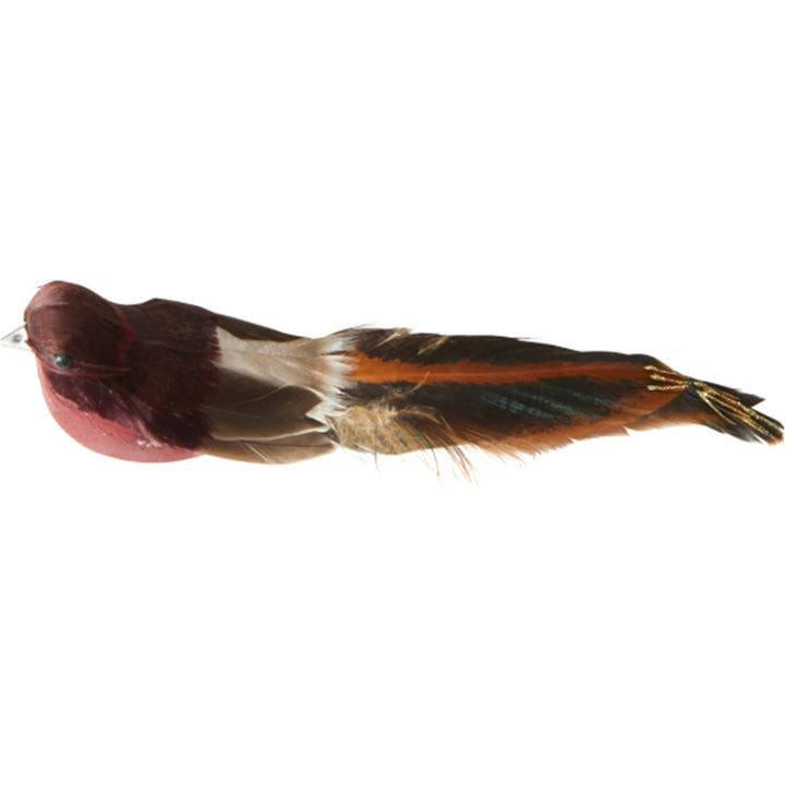 Bird with clip | H17cm