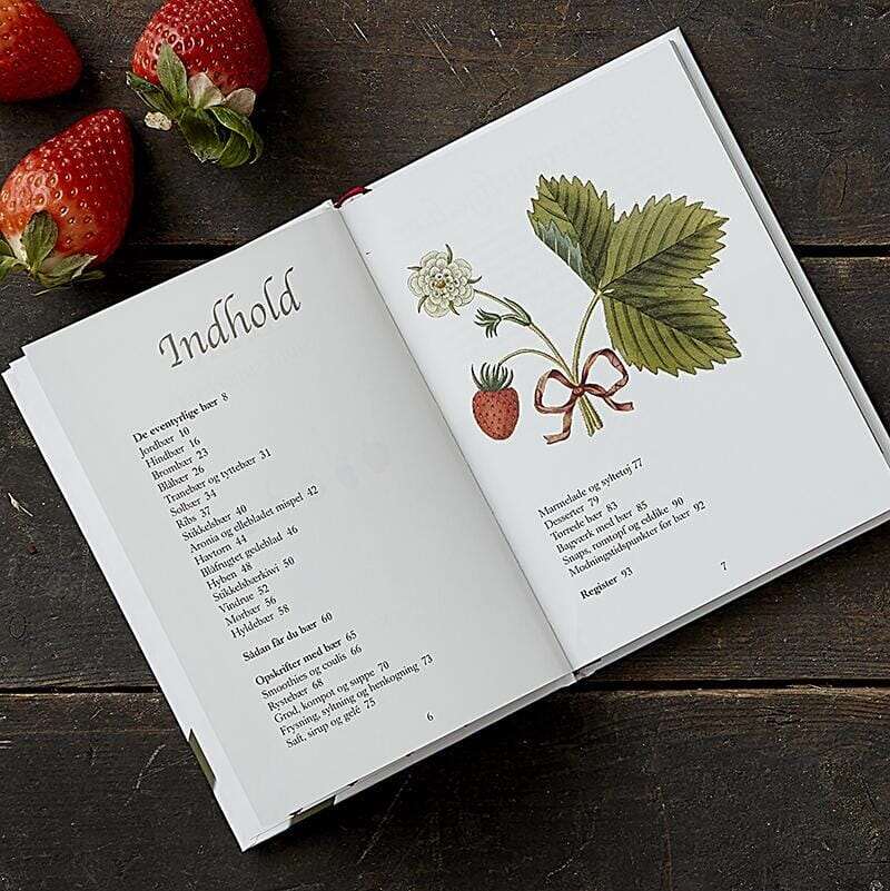 Bær - sund superfood Bøger Koustrup & Co. Krusmølle