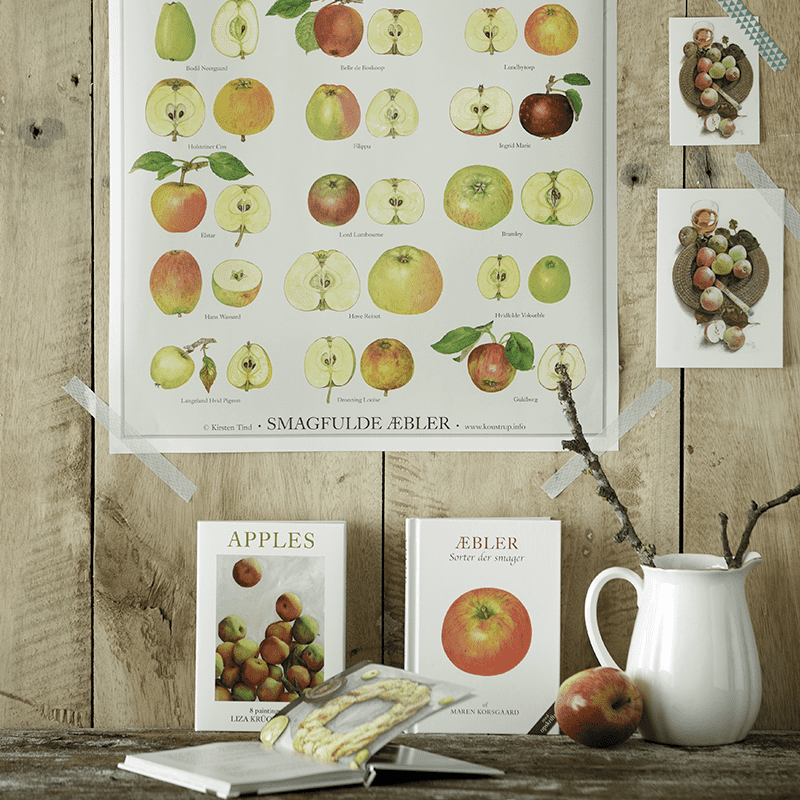 Plakat A2 - Smagfulde æbler
