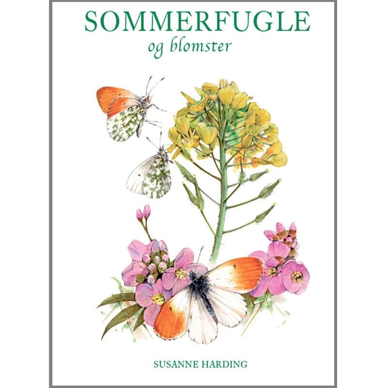 Sommerfugle og blomster Bøger Koustrup & Co. Krusmølle